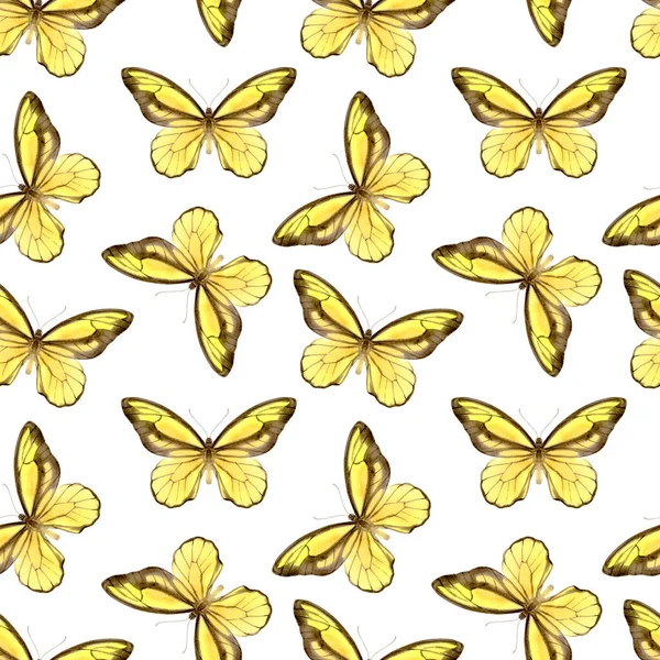 Patrón Sin Costuras Acuarela Con Hermosas Mariposas Stock Ilustración Fondo — Foto de Stock