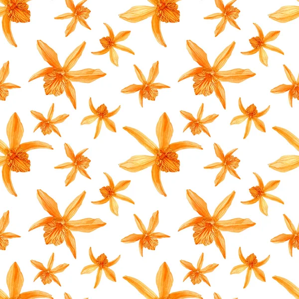Ilustrações Aquarela Desenhadas Mão Orquídea Isolada Sobre Fundo Branco Padrão — Fotografia de Stock