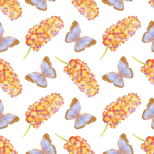 Ilustración Acuarela Dibujada Mano Orquídeas Vanda Mariposas Aisladas Sobre Fondo —  Fotos de Stock