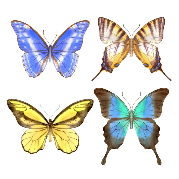 Ręcznie Rysowane Akwarele Jasnych Kolorowych Realistycznych Motyli Ilustracja Stockowa Izolowana — Zdjęcie stockowe