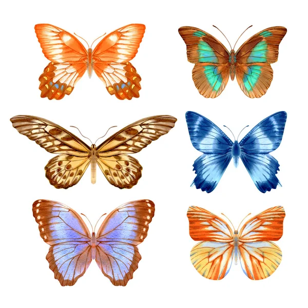 Acuarela Dibujada Mano Mariposas Realistas Colores Brillantes Ilustración Stock Aislada —  Fotos de Stock