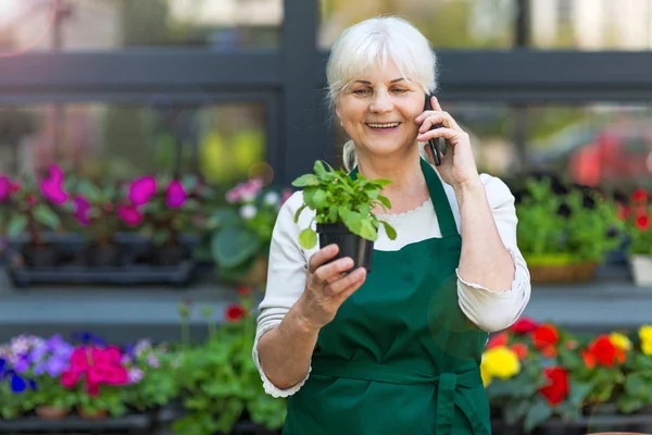 Kvinna som arbetar i blomsteraffär — Stockfoto