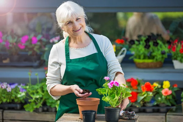 Woman working in florist shop — Stock Photo, Image