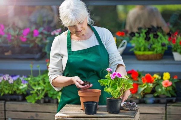 Frau arbeitet im Blumenladen — Stockfoto