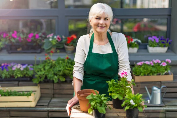 Kvinna som arbetar i blomsteraffär — Stockfoto