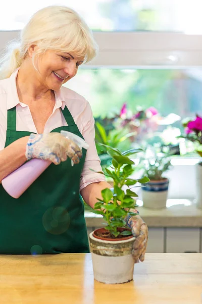 Mujer trabajando en floristería — Foto de Stock