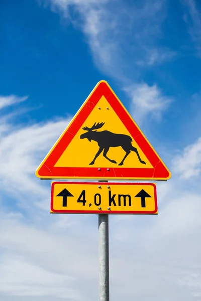 Elch auf einem Verkehrsschild, Finnland — Stockfoto