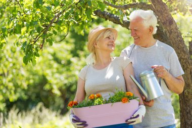 üst düzey iki Bahçe