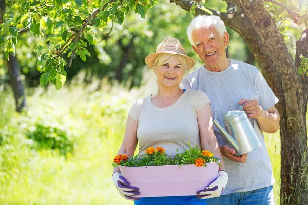 Jardinería de pareja mayor — Foto de Stock