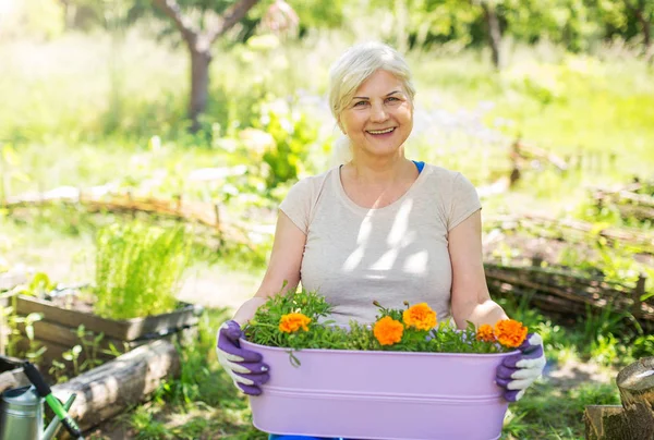 Giardinaggio donna anziana — Foto Stock