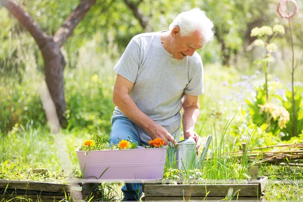 Senior mannen trädgårdsskötsel — Stockfoto