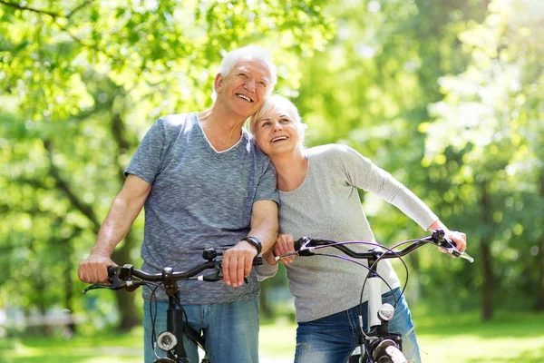 Pareja de ancianos montar bicicletas en el parque —  Fotos de Stock