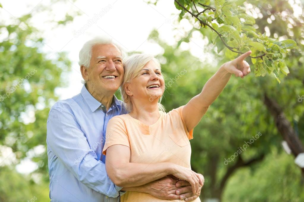 Senior Couple In Park