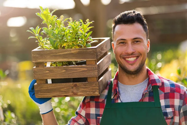 Plantskolan anställd — Stockfoto