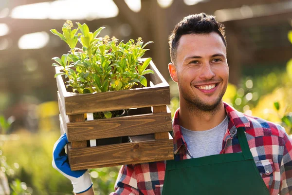 Plantskolan anställd — Stockfoto