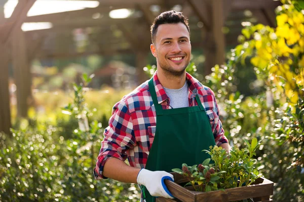 Plantskolan anställd — Stockfoto