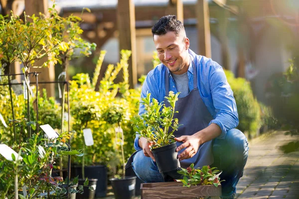 Garden Center Employee — Stock Photo, Image