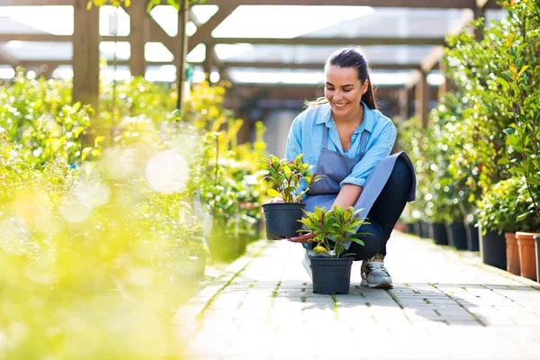 Mujer trabajando en el centro de jardín —  Fotos de Stock