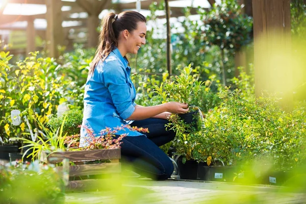 Mujer trabajando en el centro de jardín — Foto de Stock