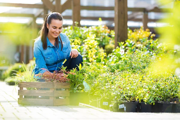 Woman working in garden center — Stock Photo, Image