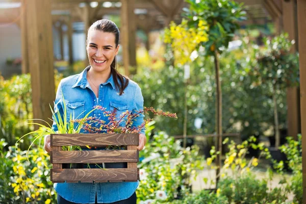 Kvinna som arbetar i garden center — Stockfoto