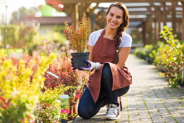 Lachende werknemers in tuincentrum — Stockfoto