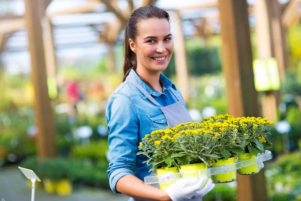 Lachende werknemers in tuincentrum Rechtenvrije Stockfoto's