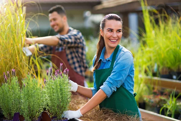 Centro de Jardín Empleados — Foto de Stock