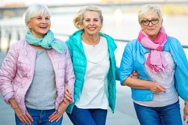 Groupe de femmes âgées souriantes debout à l'extérieur Photos De Stock Libres De Droits