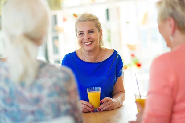 Seniorvenner som har det fint sammen – stockfoto