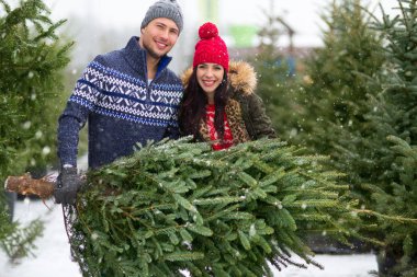 Genç çift Noel ağacı almaya