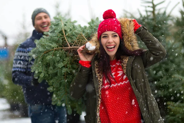 Pareja Joven Recogiendo Árbol Navidad —  Fotos de Stock