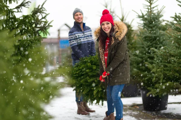 Junges Paar Pflückt Den Weihnachtsbaum — Stockfoto