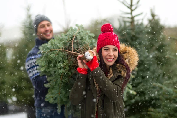 Pareja Joven Recogiendo Árbol Navidad —  Fotos de Stock