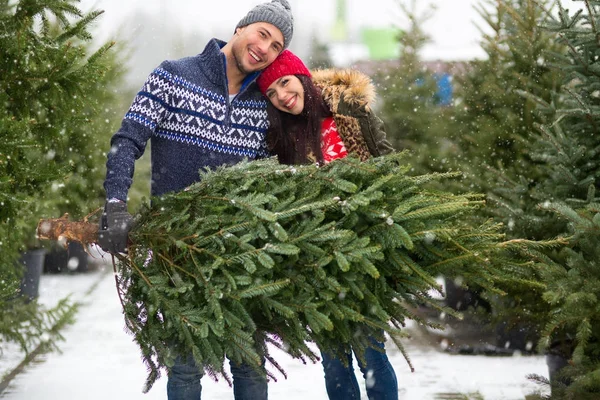 Junges Paar Pflückt Den Weihnachtsbaum — Stockfoto