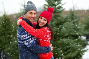 Genç çift Noel ağacı almaya