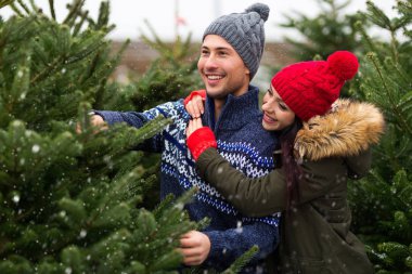 Genç çift Noel ağacı almaya