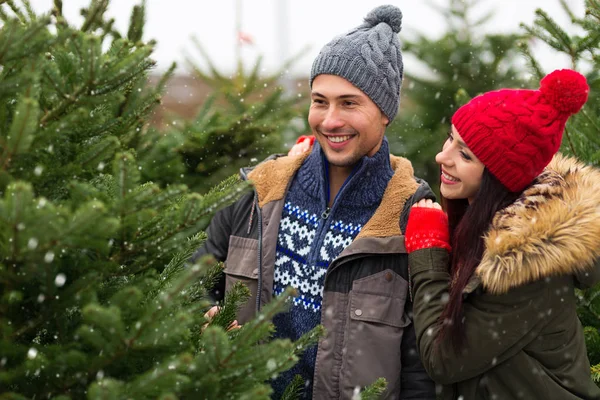 Junges Paar Pflückt Den Weihnachtsbaum — Stockfoto