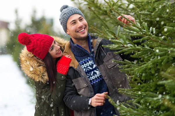 クリスマス ツリーを選ぶ若いカップル — ストック写真