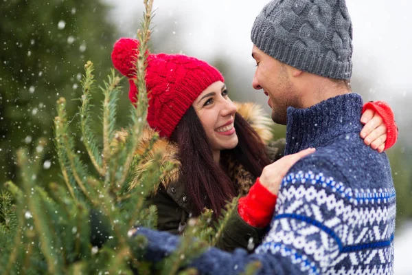 Genç çift Noel ağacı almaya