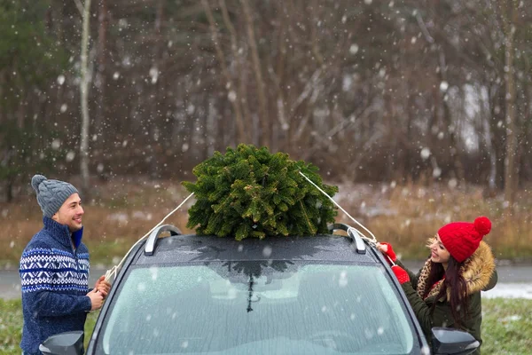 カップルは 車の屋根の上のクリスマス ツリー — ストック写真