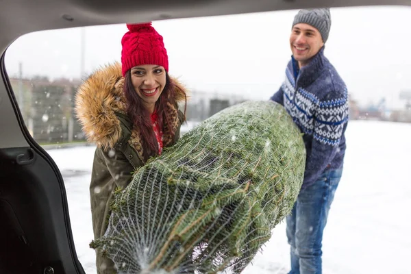 Couple Chargement Fraîchement Coupé Arbre Noël Arrière Leur Voiture — Photo