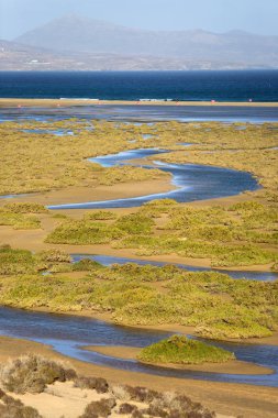 Sotavento fuerteventura, Kanarya Adaları, İspanya plaj