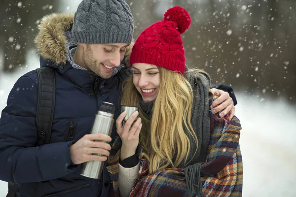情侣在冬天的风景中相爱 — 图库照片