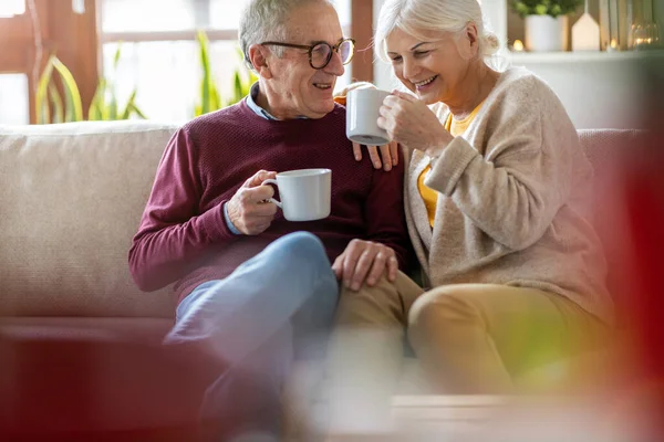 Retrato Una Feliz Pareja Ancianos Relajándose Juntos Sofá Casa — Foto de Stock