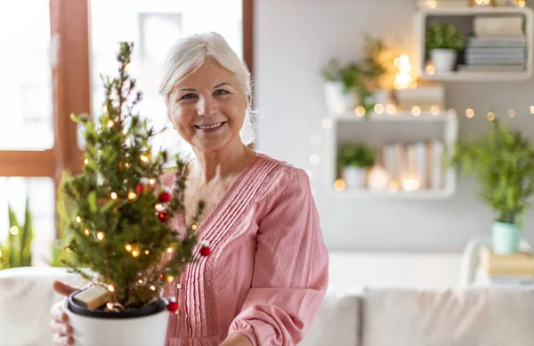 Mulher Sênior Segurando Pequena Árvore Natal Vaso Imagens De Bancos De Imagens