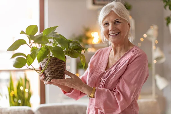 Mujer Mayor Cuidando Sus Plantas Maceta Casa —  Fotos de Stock