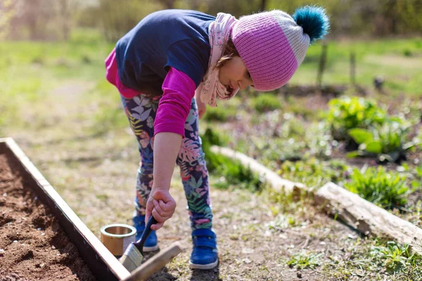 Schattig Klein Meisje Genieten Van Tuinieren Stedelijke Gemeenschap Tuin — Stockfoto