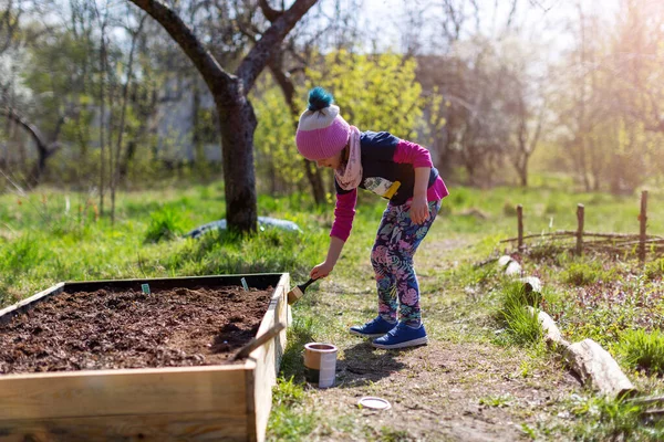 Schattig Klein Meisje Genieten Van Tuinieren Stedelijke Gemeenschap Tuin — Stockfoto