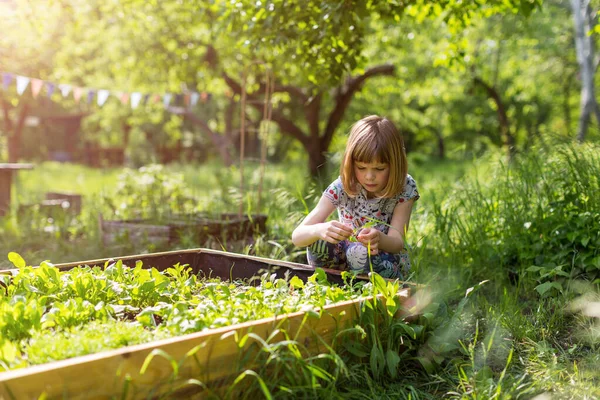 Cute Little Girl Cieszyć Ogrodnictwa Miejskim Ogrodzie Społeczności — Zdjęcie stockowe